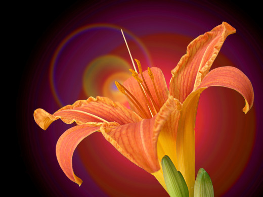 432764 (a): :1600x1200